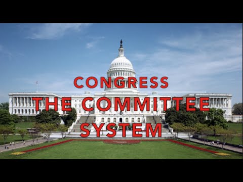 Congress: The Committee System