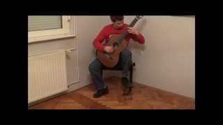 F. Sor: Grand Solo, Op. 14, Played By Vanja Posavec