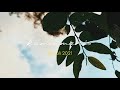 vidio aesthetic_ aplikasi VN