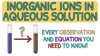 EVERY Inorganic Aqueous Ion OBSERVATION and EQUATION You NEED To Know｜A Level Chemistry (AQA)