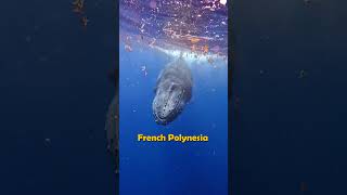 Stunning French Polynesia