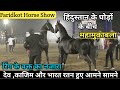 जब हिंदुस्तान के फेमस घोड़े देव , काजिम और भारत रतन हुए आमने-सामने - Faridkot Horse Show