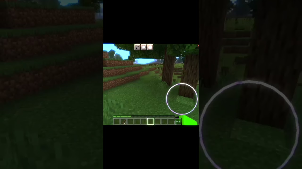 MINECRAFT DREAM