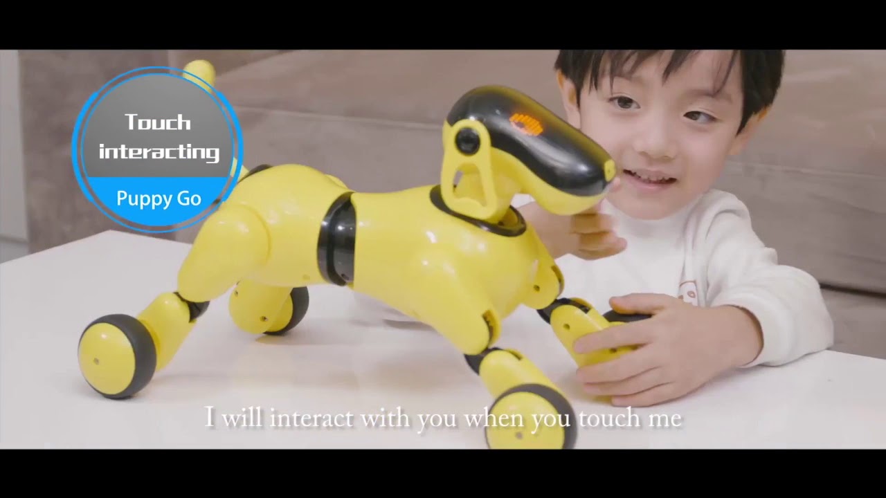 ai dog toy