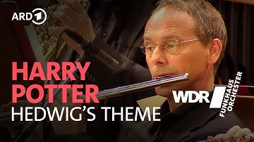 John Williams - Hedwig's Theme (Harry Potter) | Funkhausorchester 
