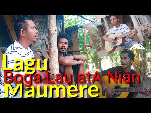 Lagu Maumere Boga lau ata nian class=