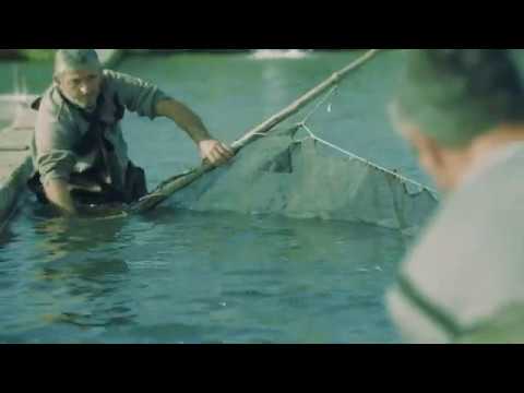 ქართული თევზი - ბიზნეს დაჯილდოება