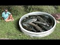 CAT FISH Gravy + Rice + Fry Prepared by my Daddy ARUMUGAM / Village food factory