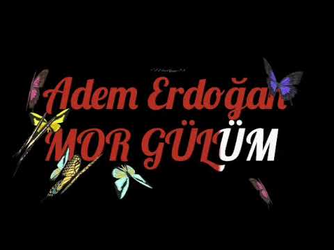 Adem Erdoğan Mor GÜLÜM