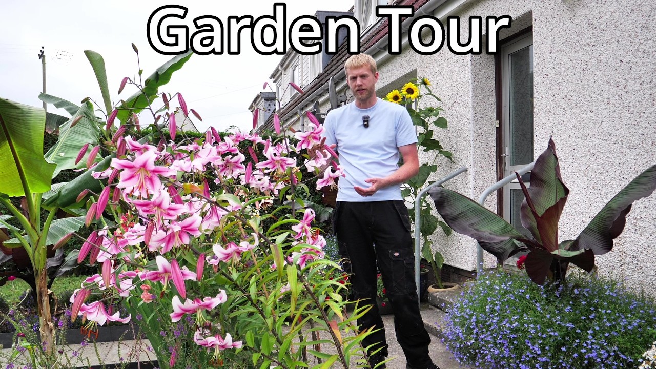 Реконструкция палисадника, часть 3 (в полном цвету)