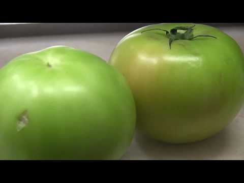 Easy Fried Green Tomatoes