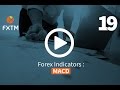 MACD Indicator Secrets: 3 Powerful Strategies to Profit in ...