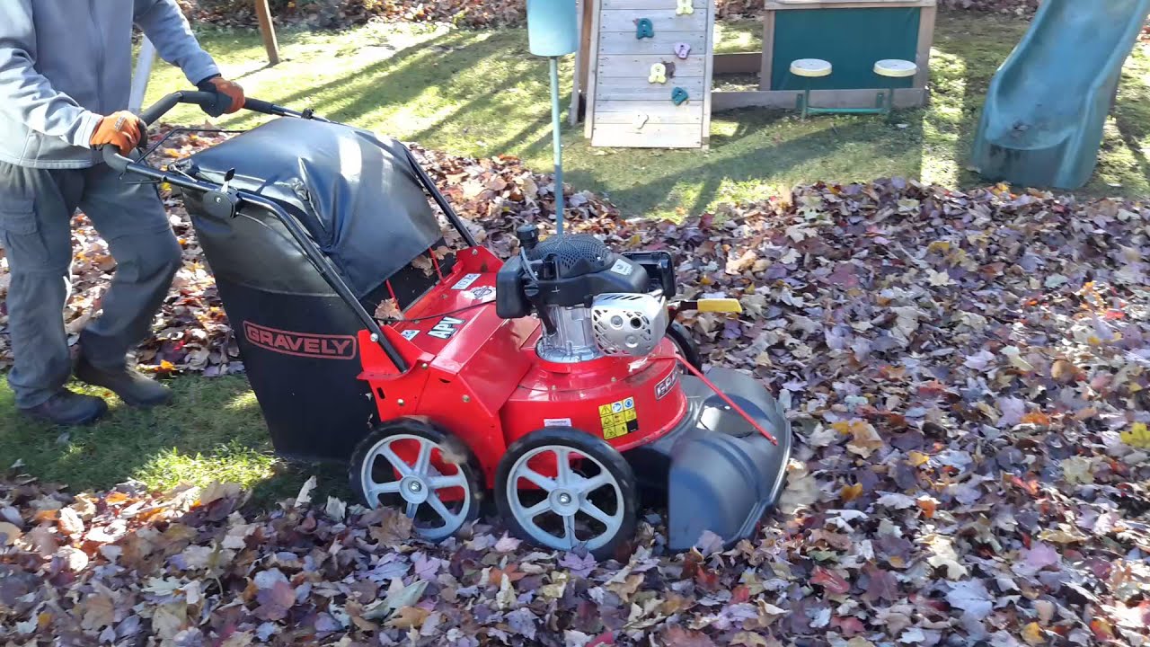 Aspirateur Feuilles Jardin