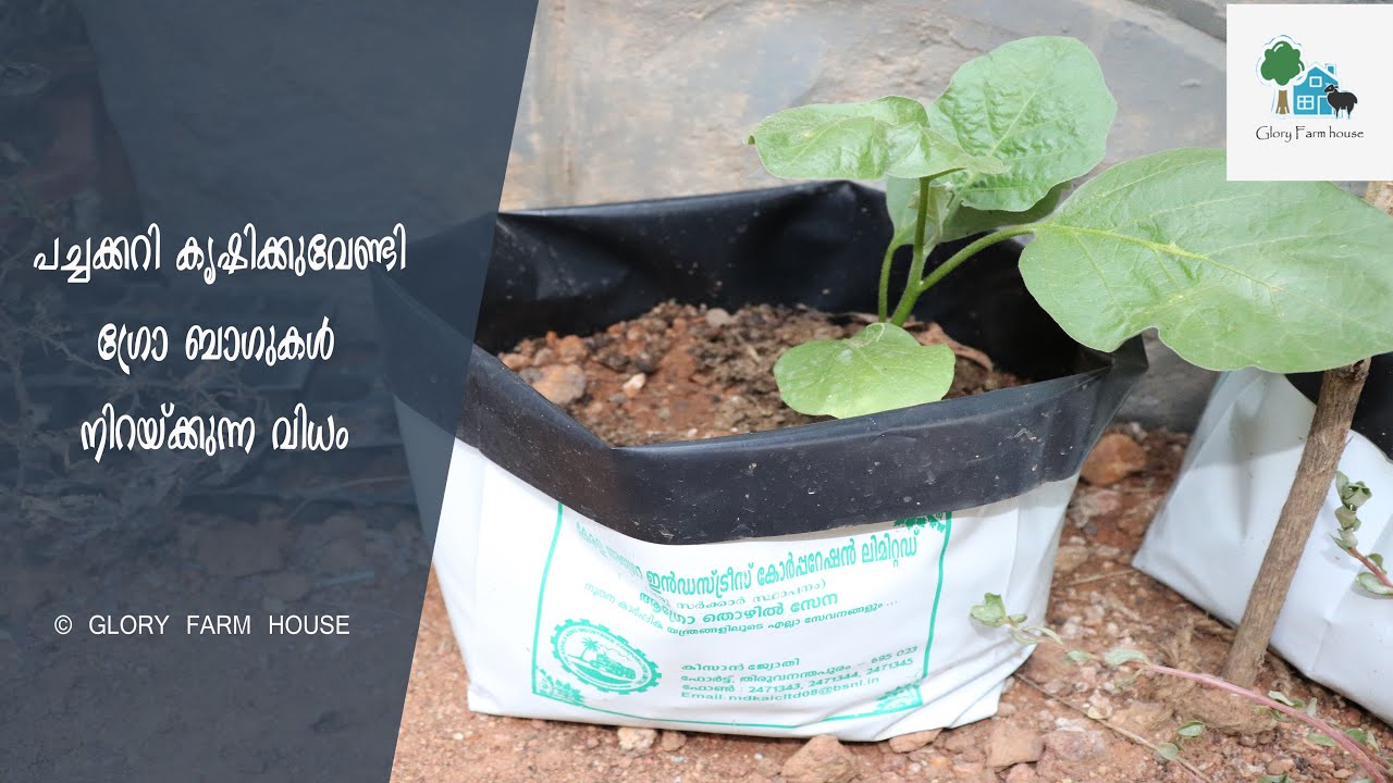 ഗ്രോ ബാഗുകള്‍ ഇങ്ങനെയും നിറയ്ക്കാം How to Fill Grow Bag in Malayalam