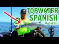 HUGE Spanish Mackerel on Topwater! | Kayak Fishing Texas