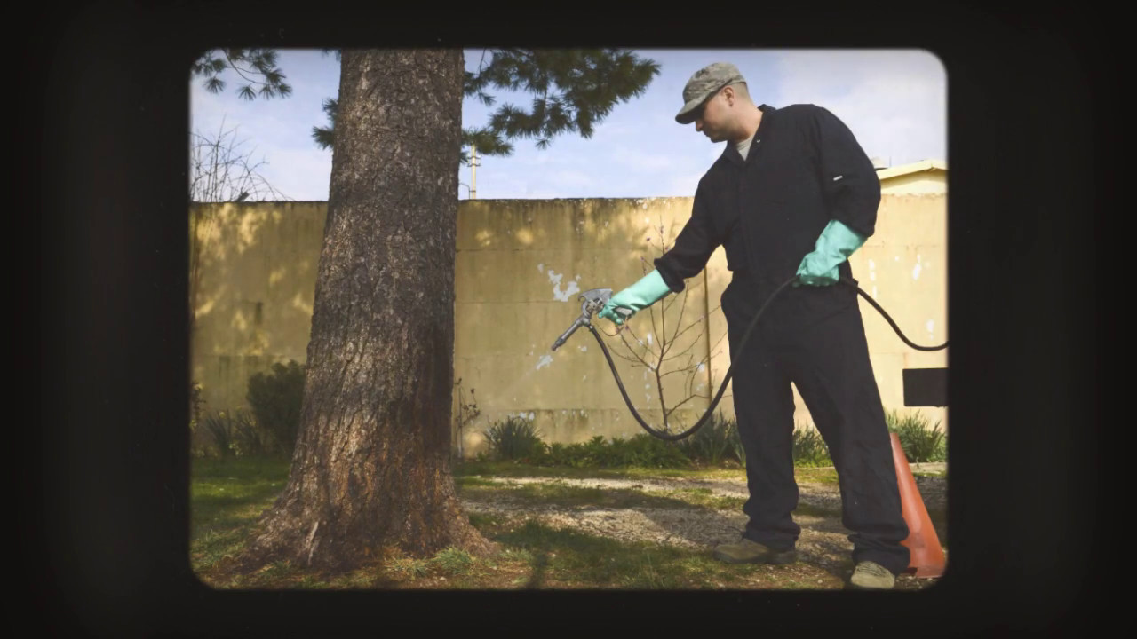 General Pest Control Sydney, AU Benefits Of Hiring A Professional