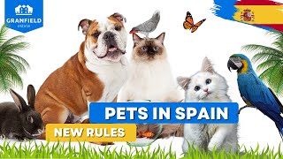 Pets in Spain new rules | Property in Spain from Granfield Estate by Real estate in Spain, Alicante - Granfield Estate 195 views 1 year ago 5 minutes, 48 seconds