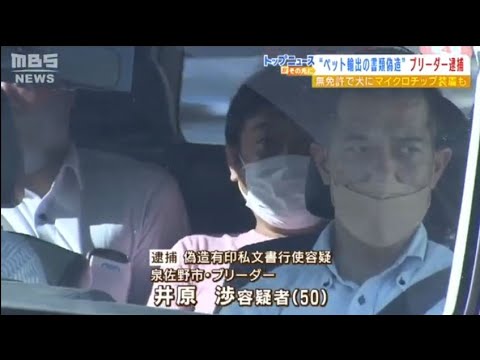 ５０歳のブリーダー逮捕 偽造の証明書 提出の疑い 大阪(動物愛誤)(經濟損害)(多頭飼育)(アニマルホーダー.動物囤積症.Animal Hoarding)(COVID-19)(狂犬病.Rabies)