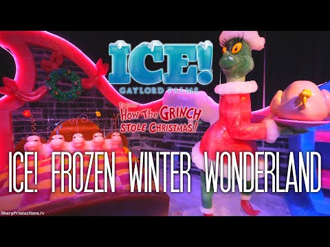 Vidéo: GLACE ! Noël au Gaylord National Resort