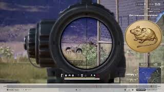 КРЫСА в PUBG PLAYERUNKNOWNS BATTLEGROUNDS