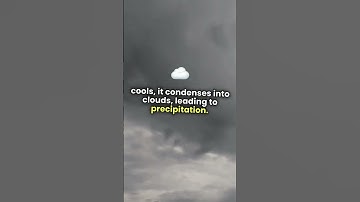 Predicting Rain: The Science Behind Weather Forecasting | science | weather