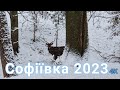 Park Sofiyivka 2023 4K . Парк Софіївка