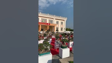 Triển lãm Bonsai Văn Giang Hưng Yên 2025