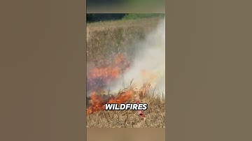 How This System Stops Wildfires From Spreading 🔥#shorts