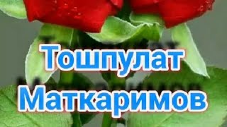 ☆ТОШПУЛАТ МАТКАРИМОВНИНГ МАШХУР КУШИКЛАРИ☆