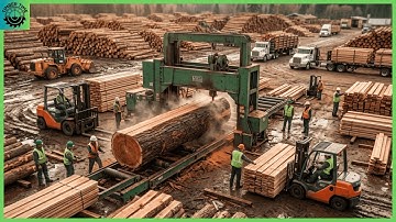 Inside the Modern Sawmill Factory – How Lumber Is Made for Luxury Furniture From Raw Logs