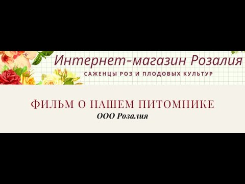 Розалия Ооо Интернет Магазин