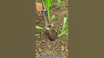 MI 610010061 Mini Rotary Tillage And Ridging All In One Tree 
