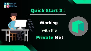 Quick Start 2: Working with the Private Net | Neo Blockchain Hackathon