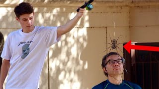 Spider on a String Prank