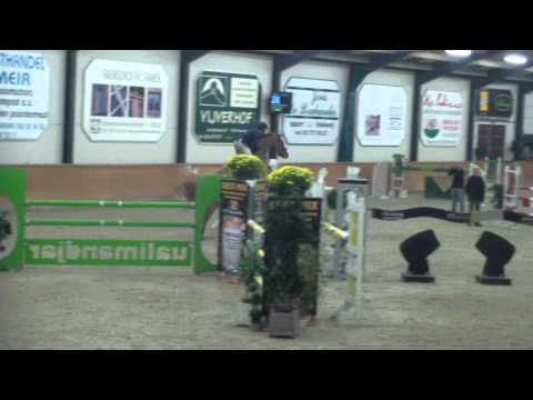 VDB Stables Quattrina