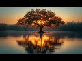 Relaxing Music 24/7, Sleep Music, Stress Relief Music, Spa, Meditation, Zen, Background Music, Sleep