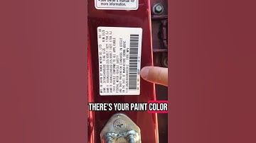 How to find your car paint color. Honda 2008 CRV #phoenix #foryoupage #foryou #honda #how #howto