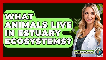 What Animals Live In Estuary Ecosystems? - Earth Science Answers