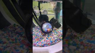 EV tech in a fishtank!