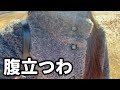 なんなの