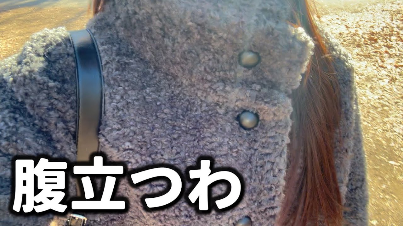 なんなの