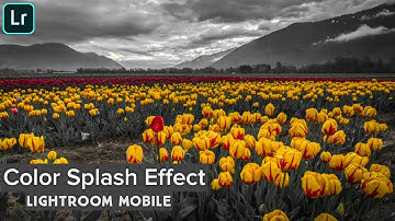 Color Splash Effect in Lightroom Mobile | For free version | Malayalam Tutorial