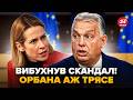 🔥СКАНДАЛ СТОЛІТТЯ! Вся Угорщина КИПИТЬ після цих заяв. НЕ повірите, що СКАЗАЛИ прямо у ЄС