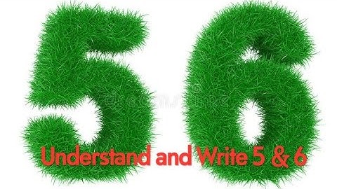 Maths, 1st:- Understand and Write 5 & 6