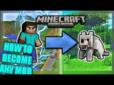 MCPE How to Become any mob using command block in Minecraft Pocket ...