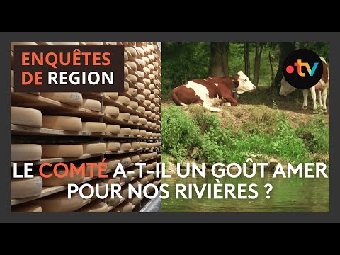 Pollution : le comté a-t-il un goût amer pour nos rivières ?