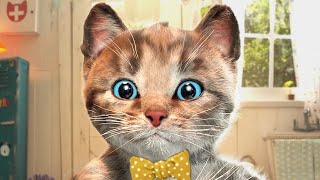 My Pet Little Kitten Adventure | Best Animal Educational Video For Toddlers| Cat House 😻Episode 1049