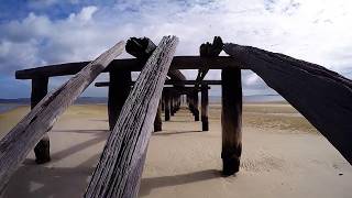Fraser Island - A beautiful oasis build on sand