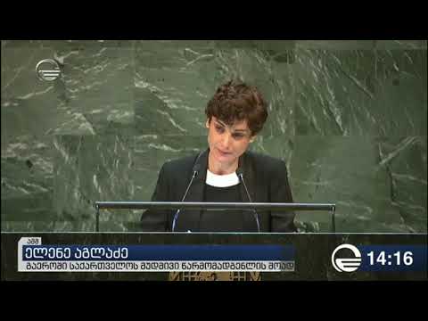 ელენე აგლაძემ გაეროს ასამბლეაზე ოკუპირებულ რეგიონებში შექმნილ ვითარებაზე ილაპარაკა