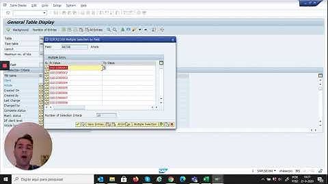 How to copy multiple records from SAP at once